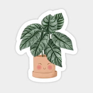 Cute Plant Illustration, Alocasia Silver Dragon Illustration 2 Sticker